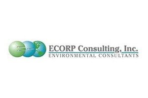 ECORP Consulting, Inc. Favicon Logo